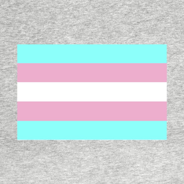 Transgender Pride Flag by DisneyFanatic23